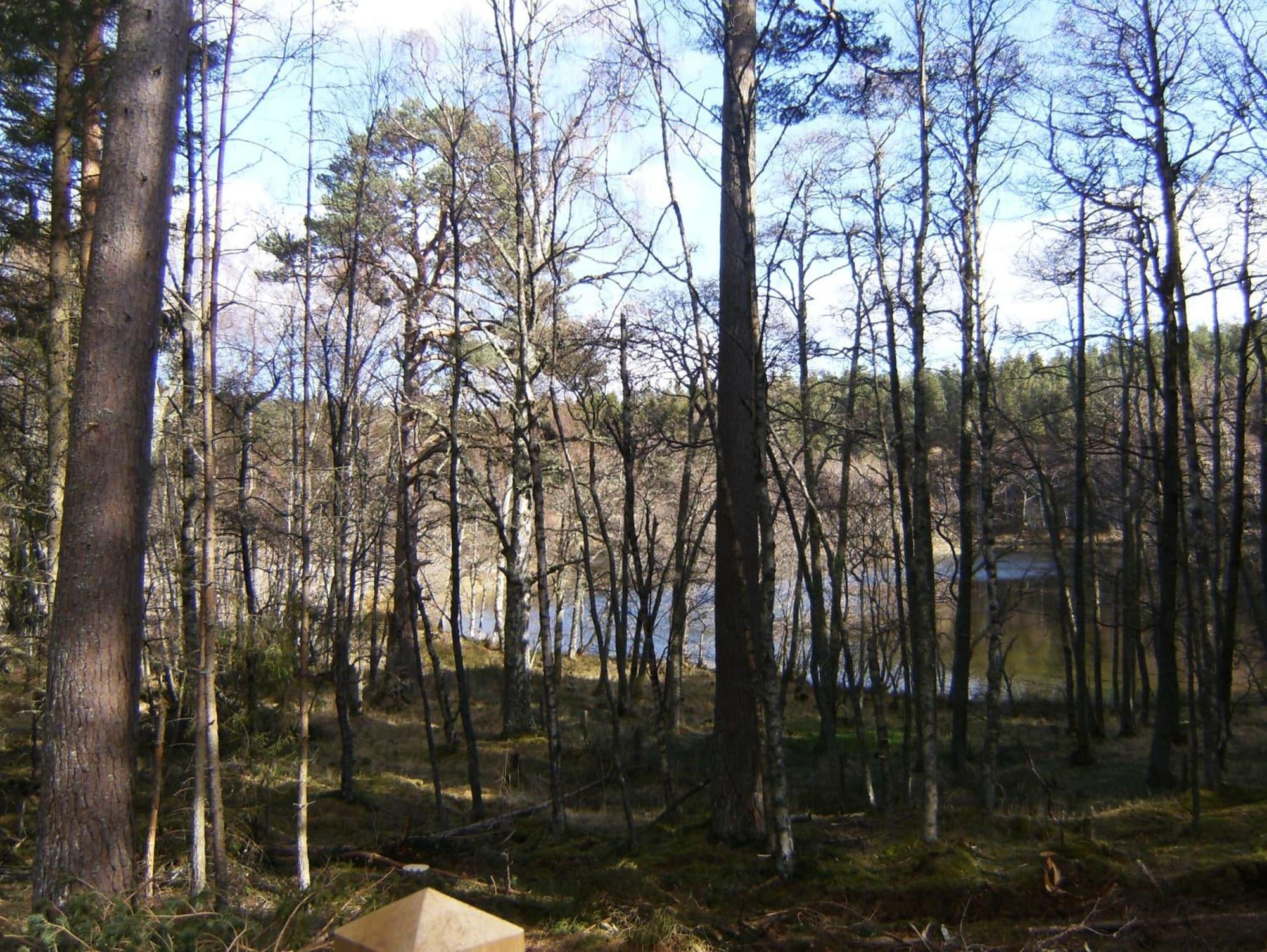 Comodidades del Alojamiento Cairngorm Lodges