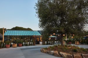Alojamiento - Treehouse Hotel Silicon Valley