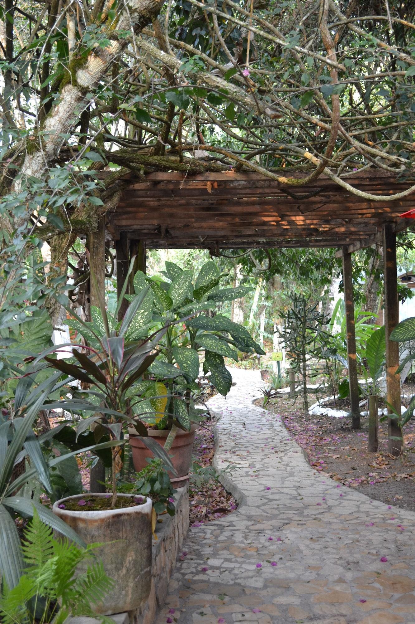 Vista Lobby Hotel Jaguar Inn Tikal