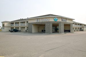 Alojamiento - El Lobo Motel