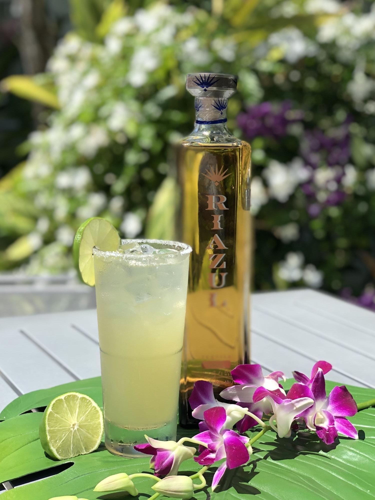 Bar/Salón Orchid Key Inn