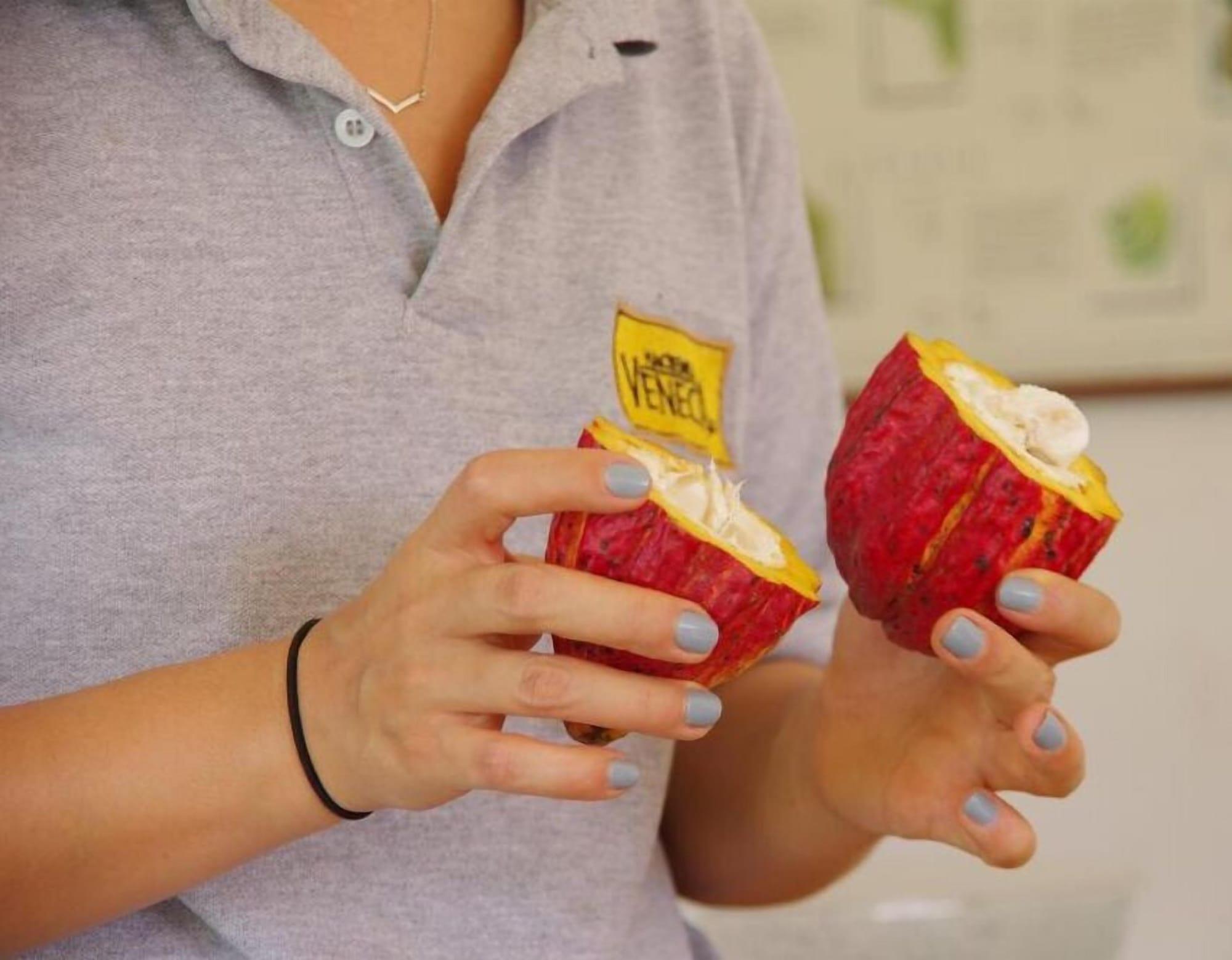 Restaurant Hacienda Venecia Main House & Coffee Lodge