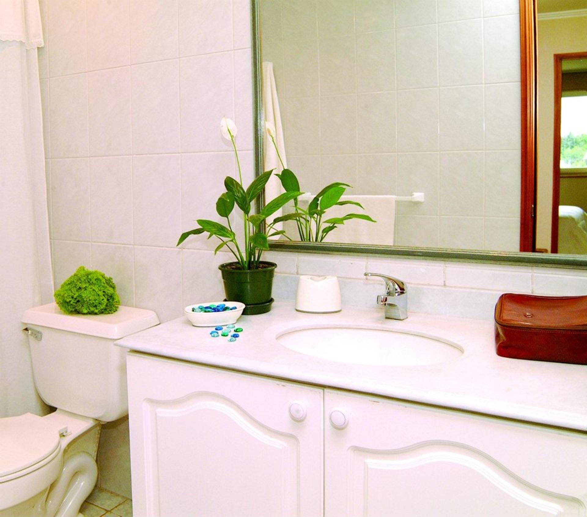 Equipamiento de Habitación Apart Hotel Carampangue