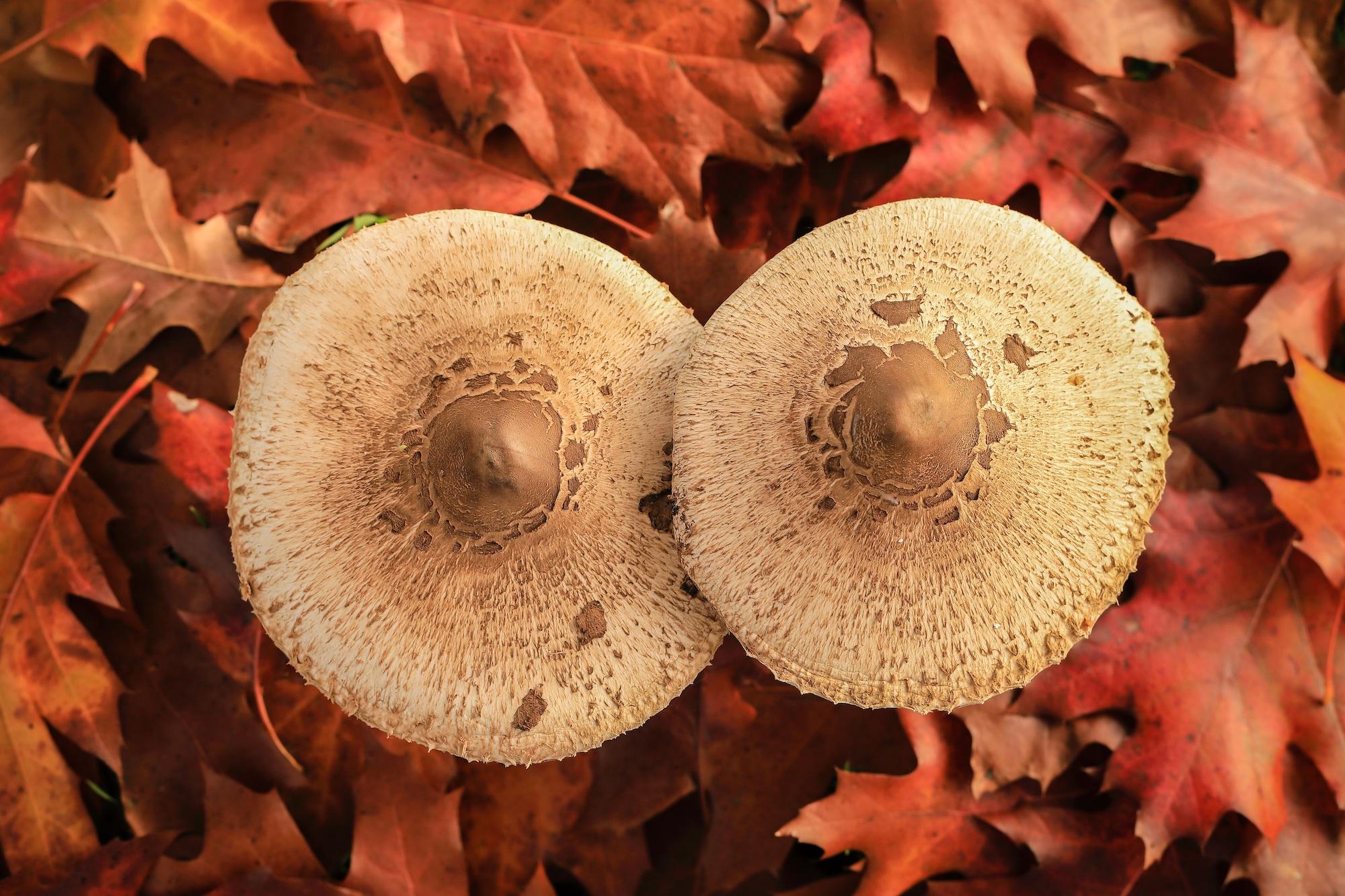 Vista Exterior Chão do Rio - Turismo de Aldeia