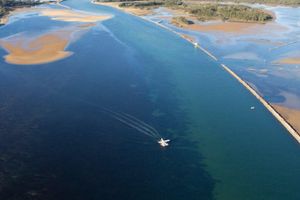 Alojamiento - The Seabird