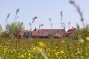 Alojamiento - Hotel de Walvisvaarder