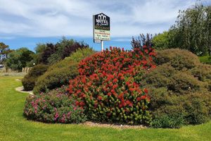 Alojamiento - Motel Le Grande