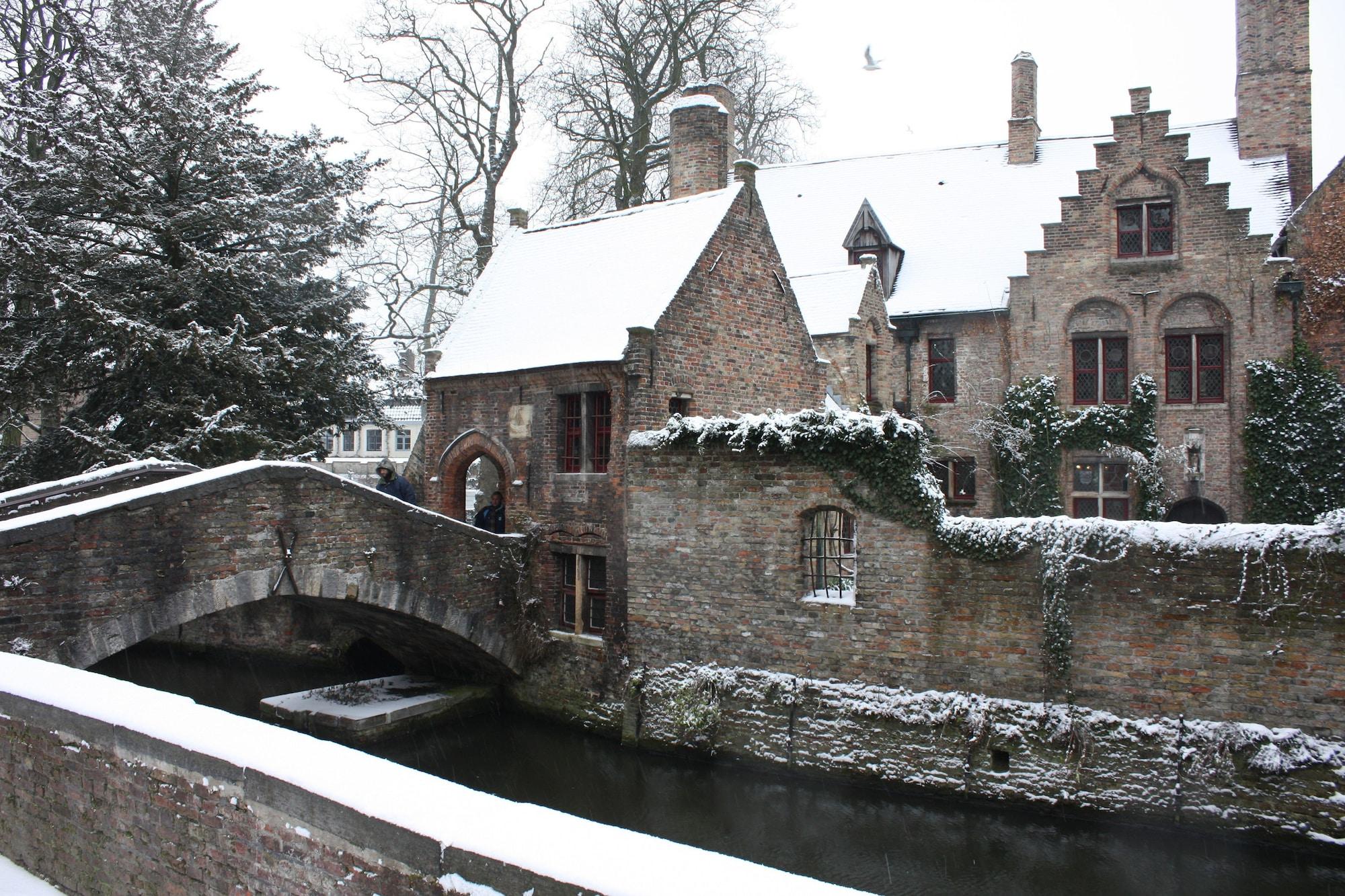 Vista Exterior Nuit Blanche