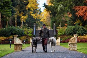 Alojamiento - Ashford Castle