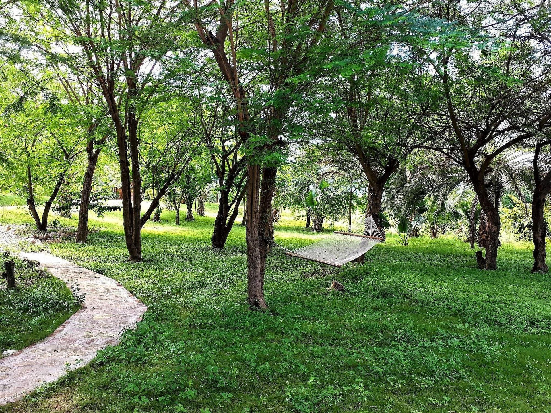 Vista Exterior La Colline Enchantée