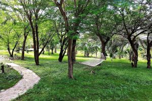 Alojamiento - La Colline Enchantée