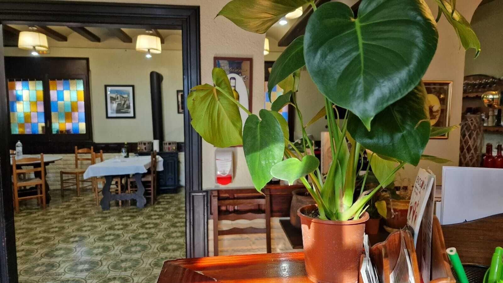 Vista Lobby Hotel Restaurant El Bosc