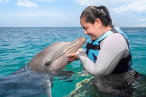 Actividad - Programa con delfines y entrada a parque Chankanaab