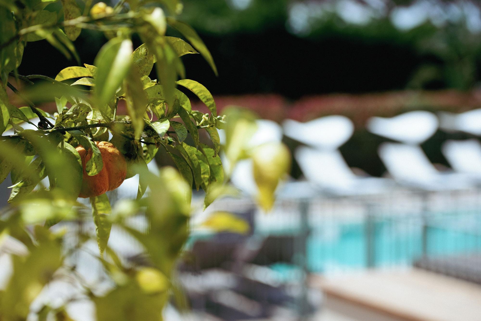 Vista Exterior Boutique-Hôtel Villa Fabulite