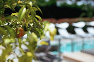 Alojamiento - Boutique-Hôtel Villa Fabulite