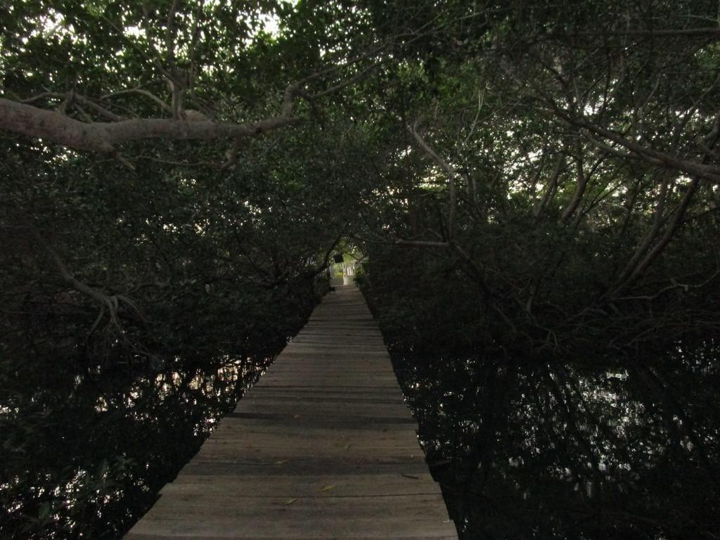 Comodidades del Alojamiento Cabañas Juakianna