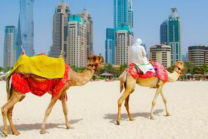 Vuelo - Vuelos a Dubái