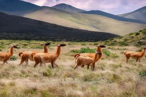 Actividad - Humahuaca y Salinas: Cielos que abrazan la tierra