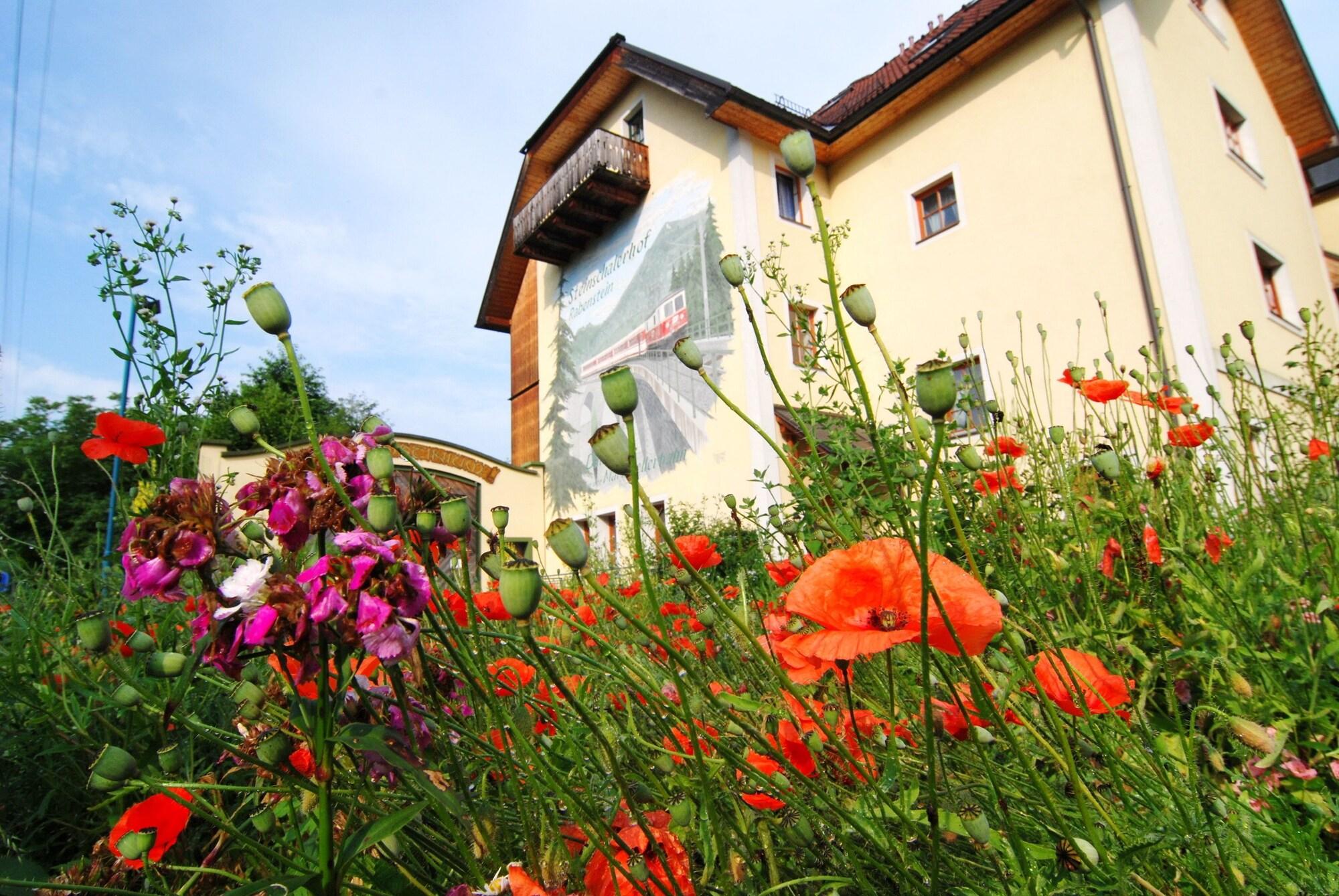 Vista Exterior Steinschalerhof