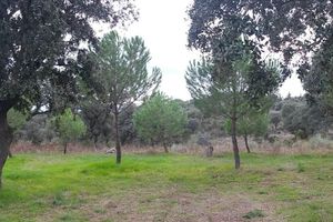 Alquiler Vacacional - Rent house 5 rooms 5 minutes Pozoblanco