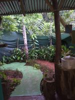Alojamiento - Isla Violin Eco Lodge