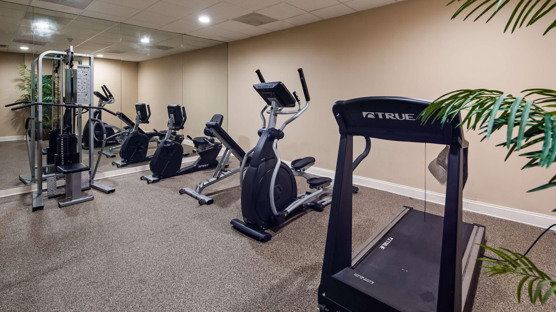 Instalaciones Recreativas Best Western Ocean City Hotel & Suites