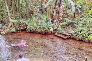 Alquiler Vacacional - Explore Paradise-Linda Vista cottage