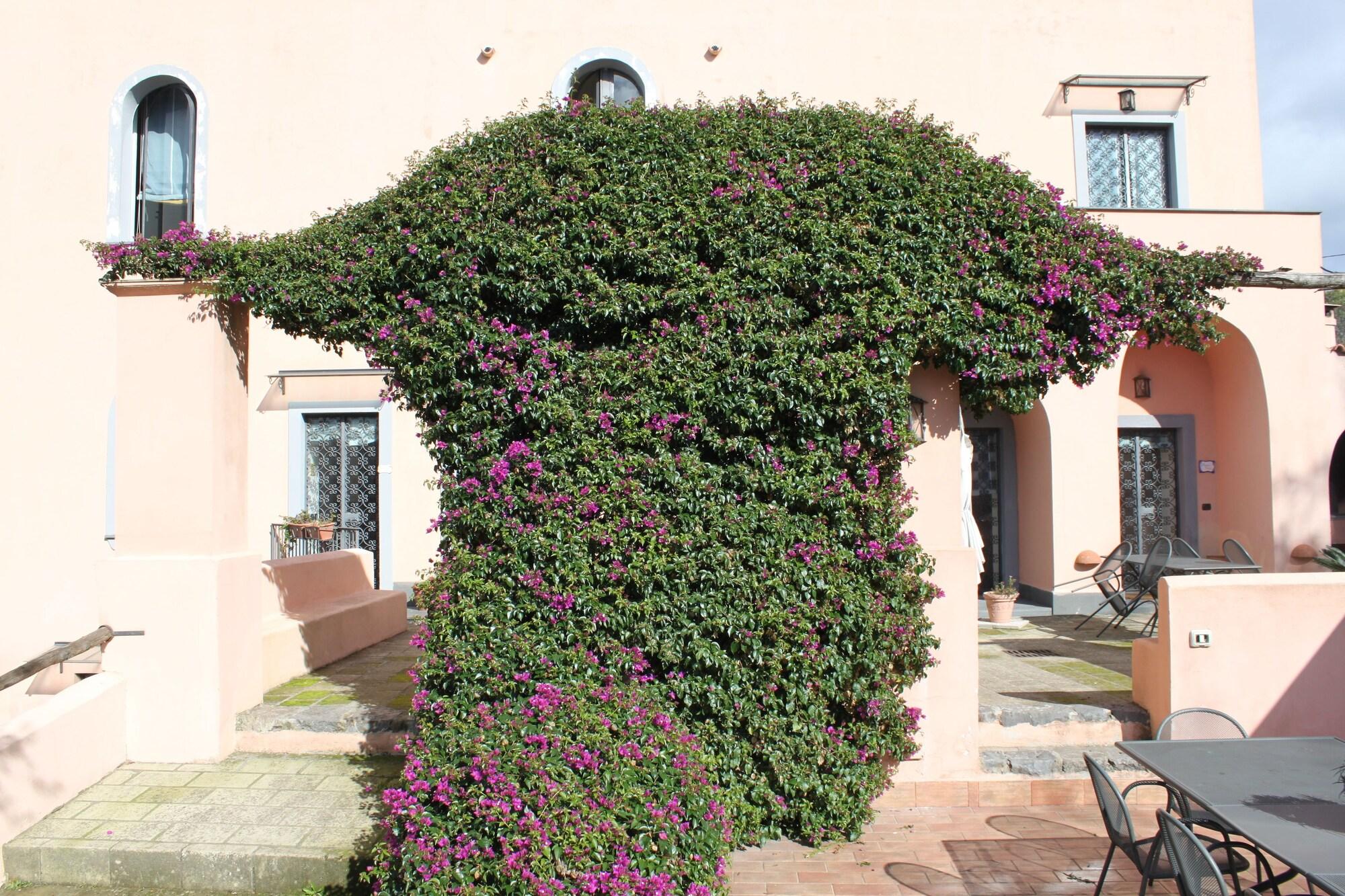 Vista Exterior Flegrea House - Casa Rosa