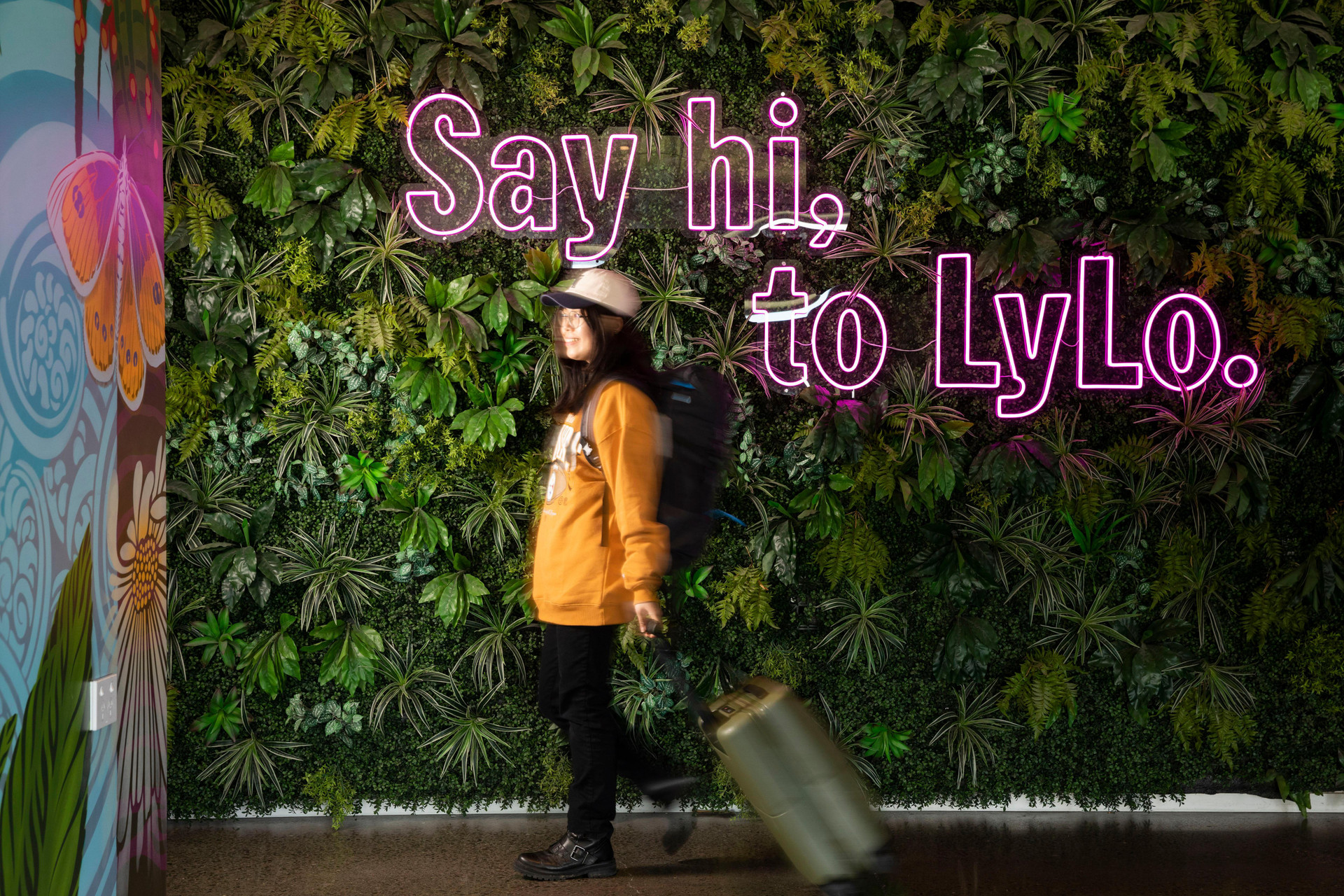 Vista Lobby LyLo Christchurch