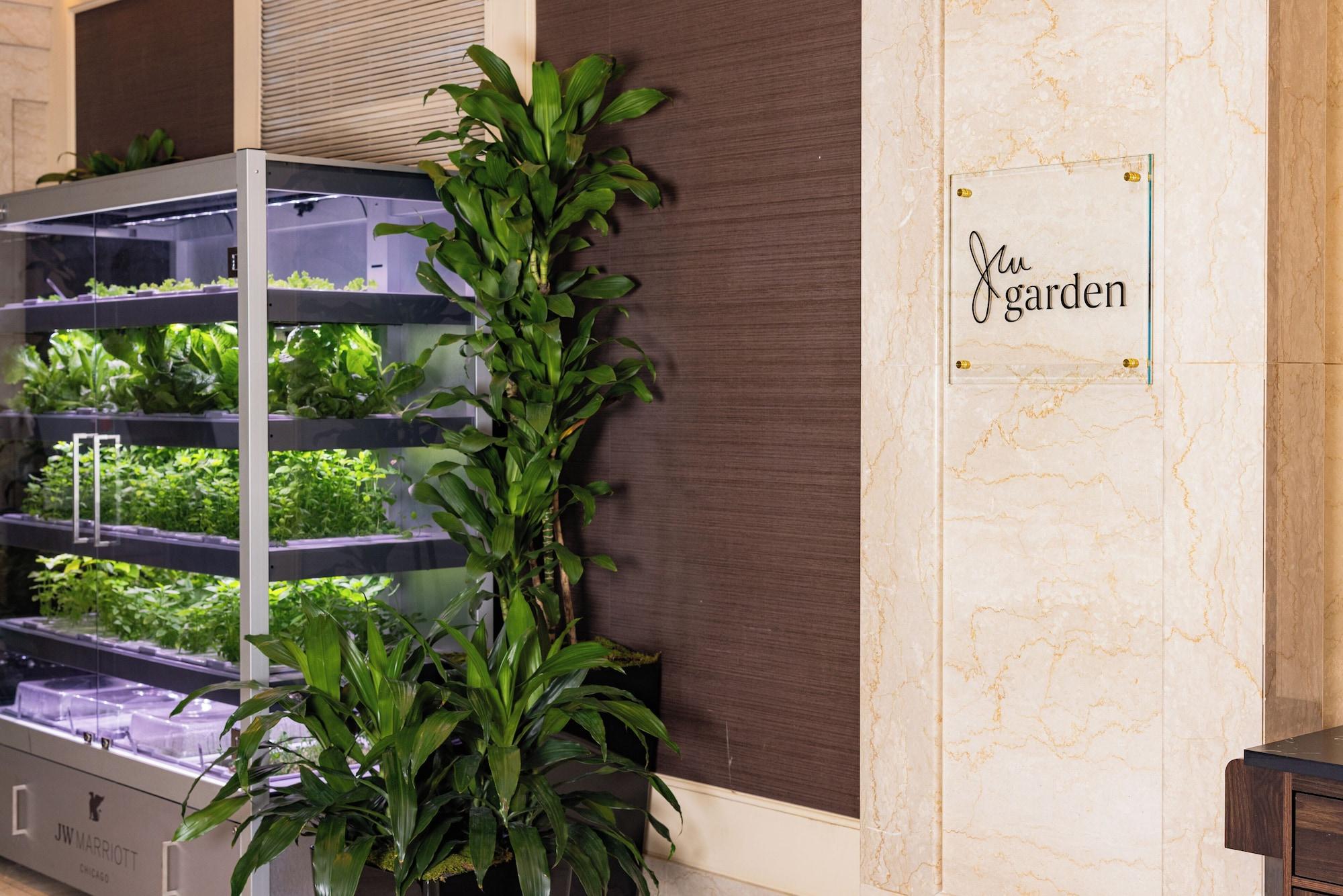 Comodidades del Alojamiento JW Marriott Chicago