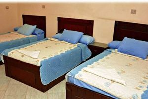 Alojamiento - Nile Island View hotel