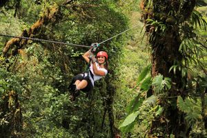 Actividad - Aventura en tirolina desde Monteverde