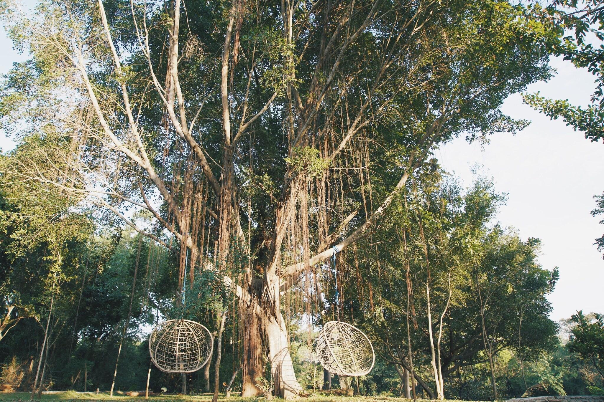 Vista Exterior Kalu's Hideaway