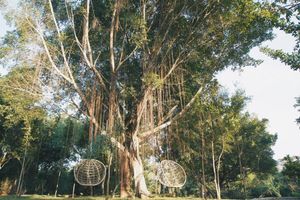 Alojamiento - Kalu's Hideaway