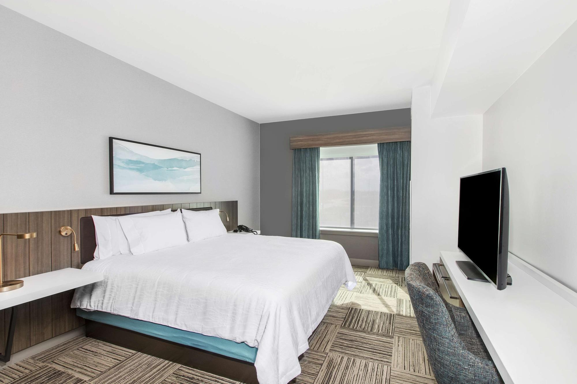 Habitación Hilton Garden Inn Harlingen Convention Center