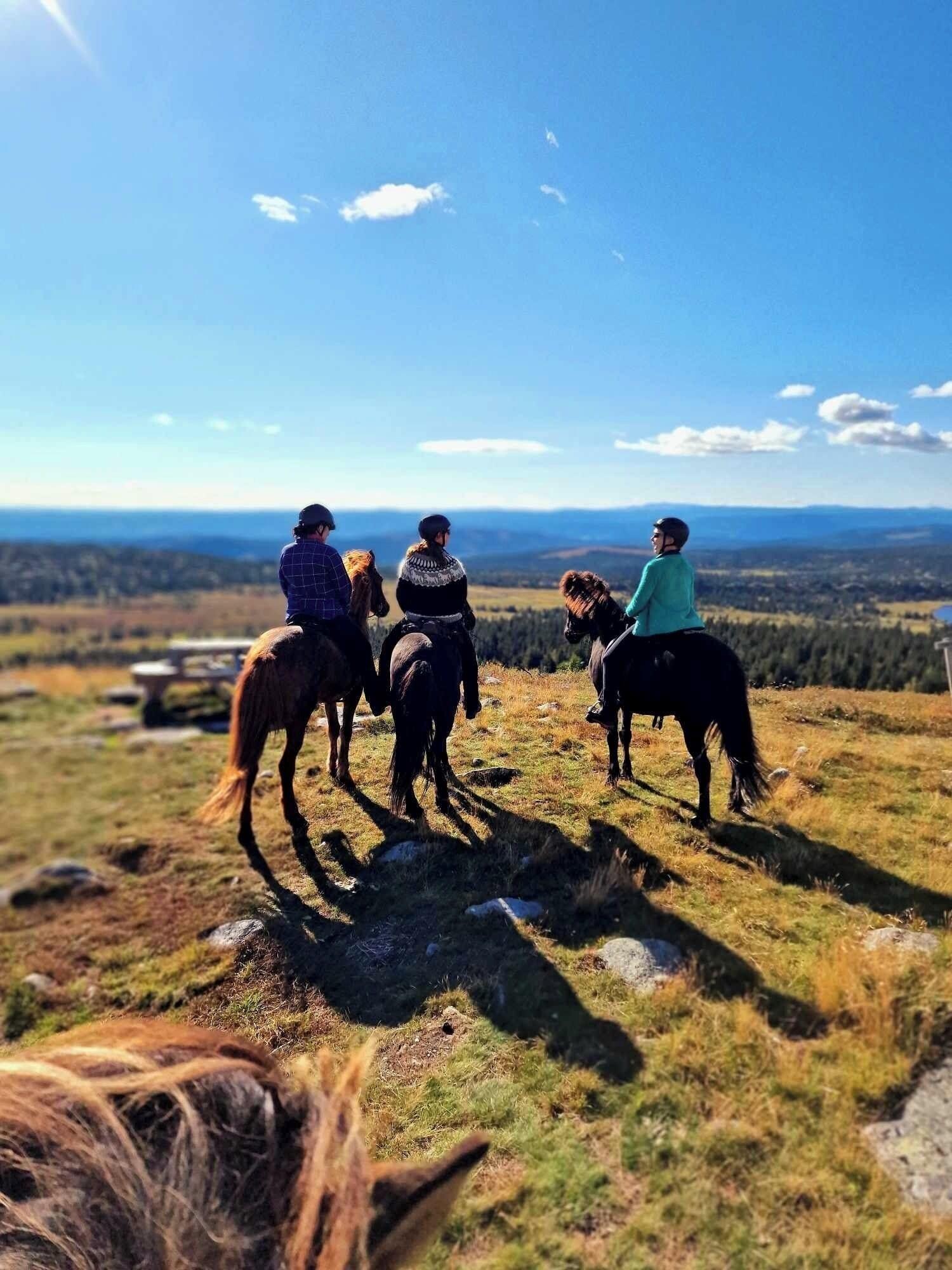 Instalaciones Recreativas Mesnabakken pensjonat