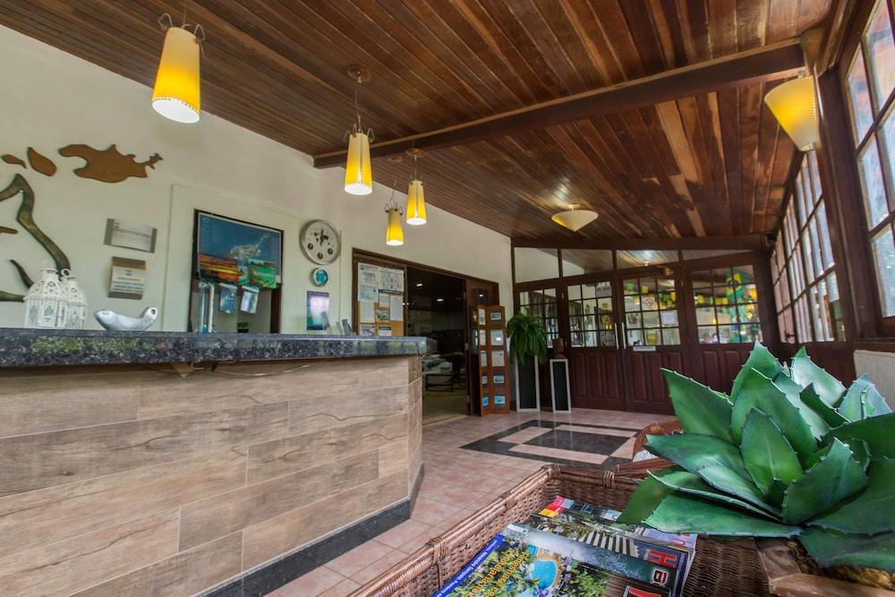 Vista Lobby Dolphin Hotel