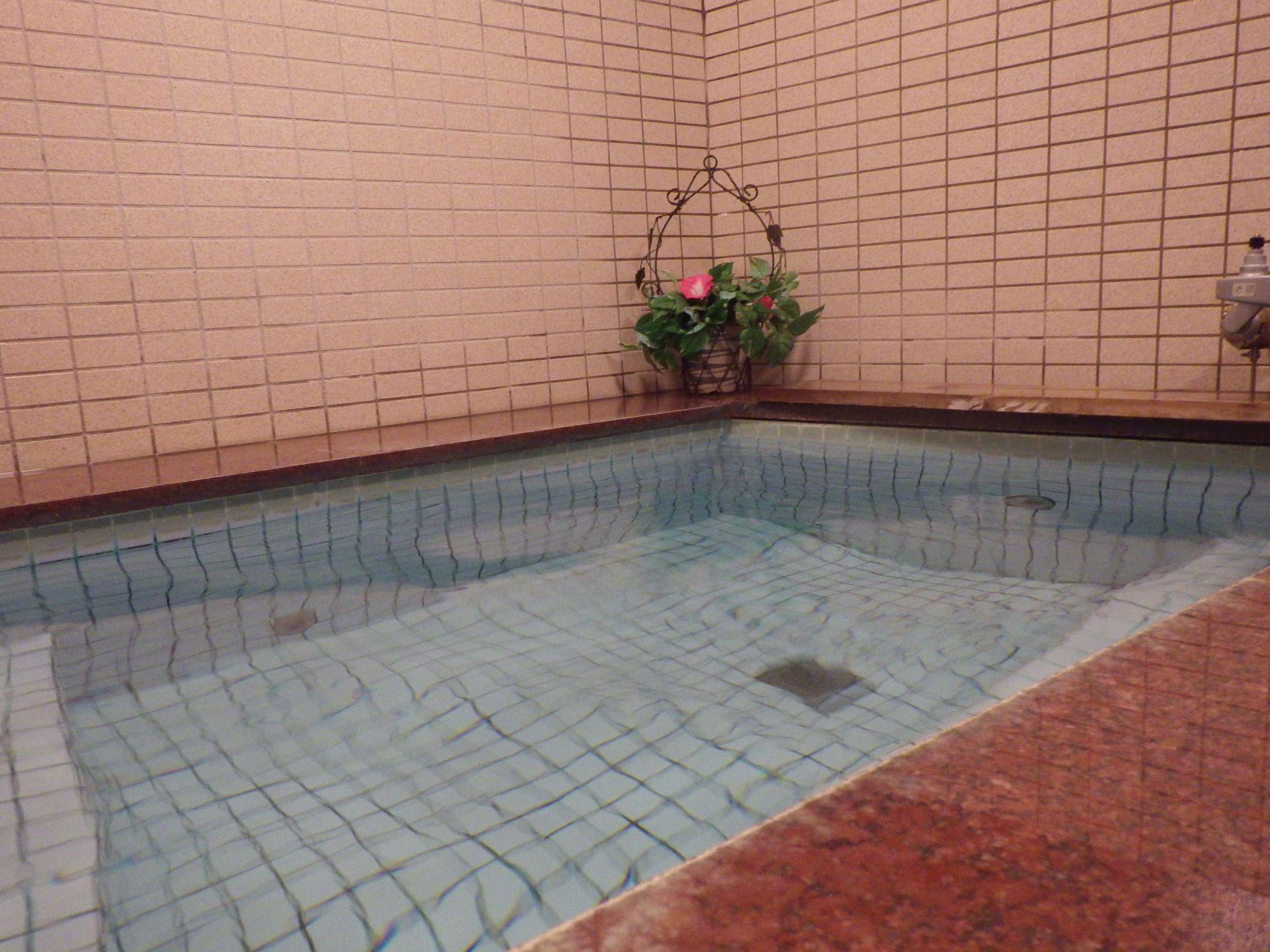 Spa Ryokan Nisaburo