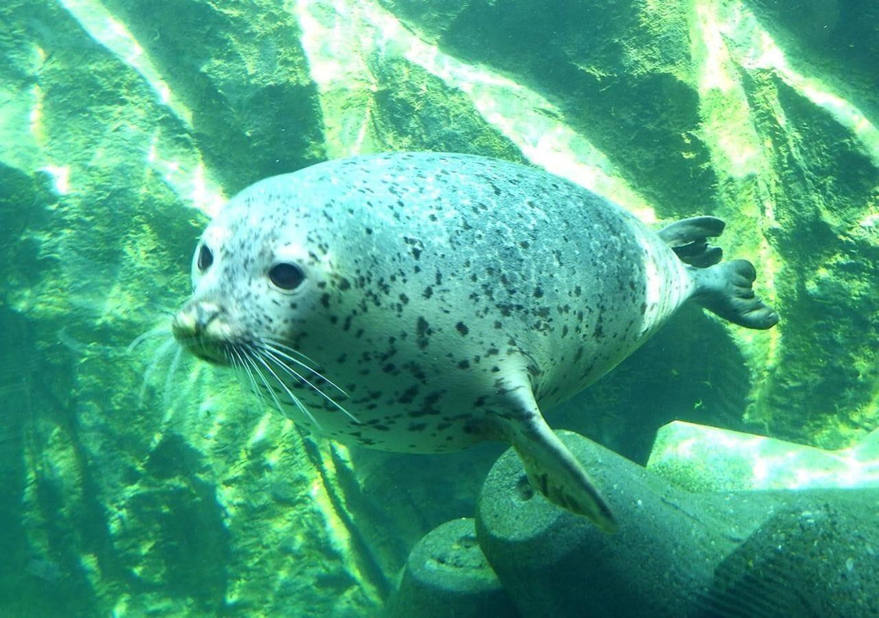 Gimnasio Trend Hotel Asahikawa