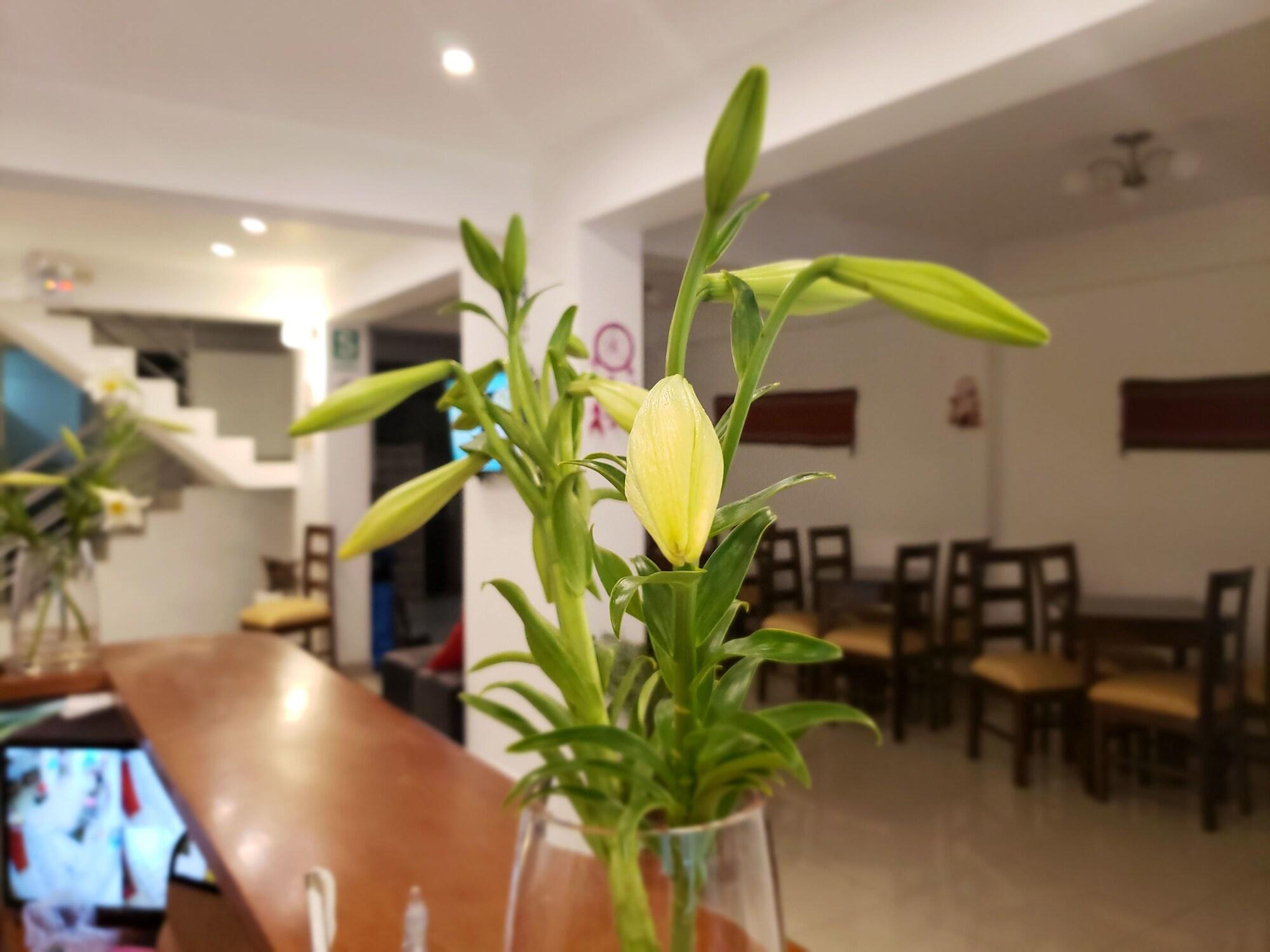 Comodidades del Alojamiento Mantu Boutique