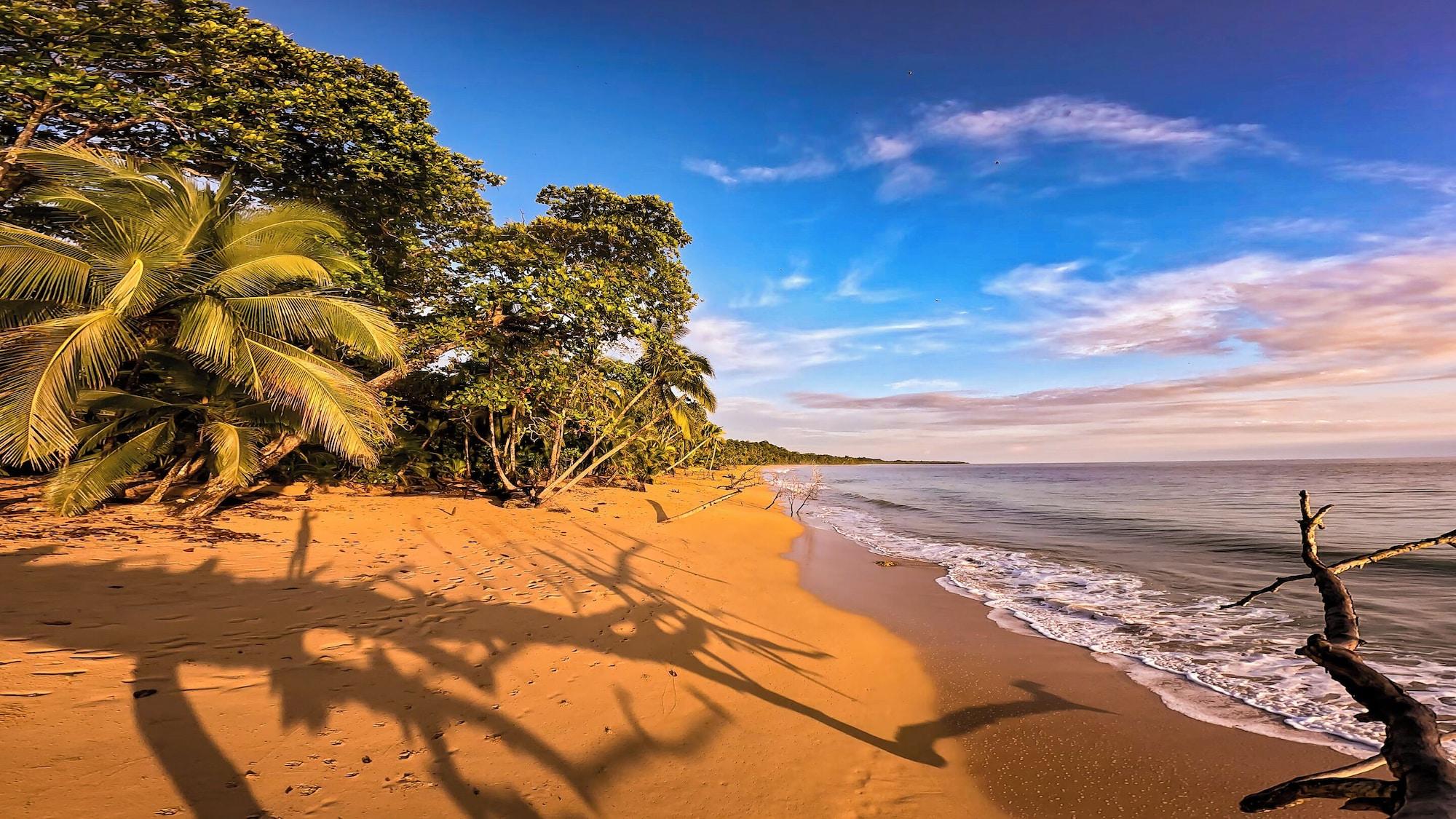 Playa Toucan Hill Lodge