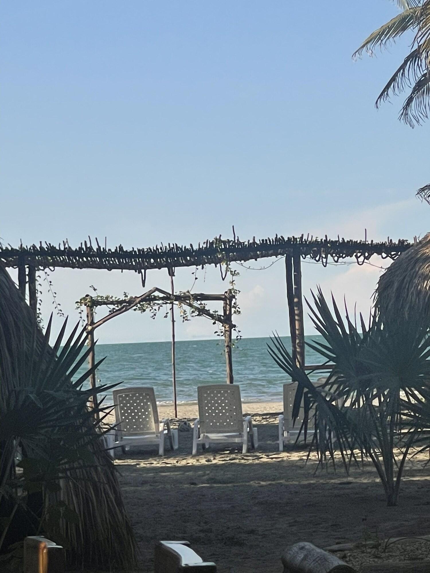 Varios alanacasadeplaya