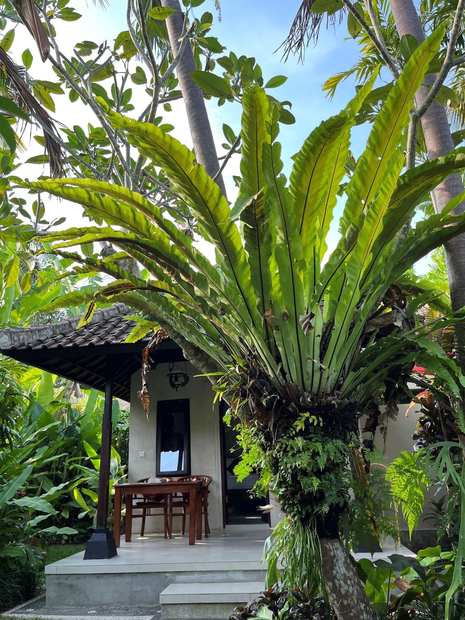Habitación Sama's Cottages and Villas