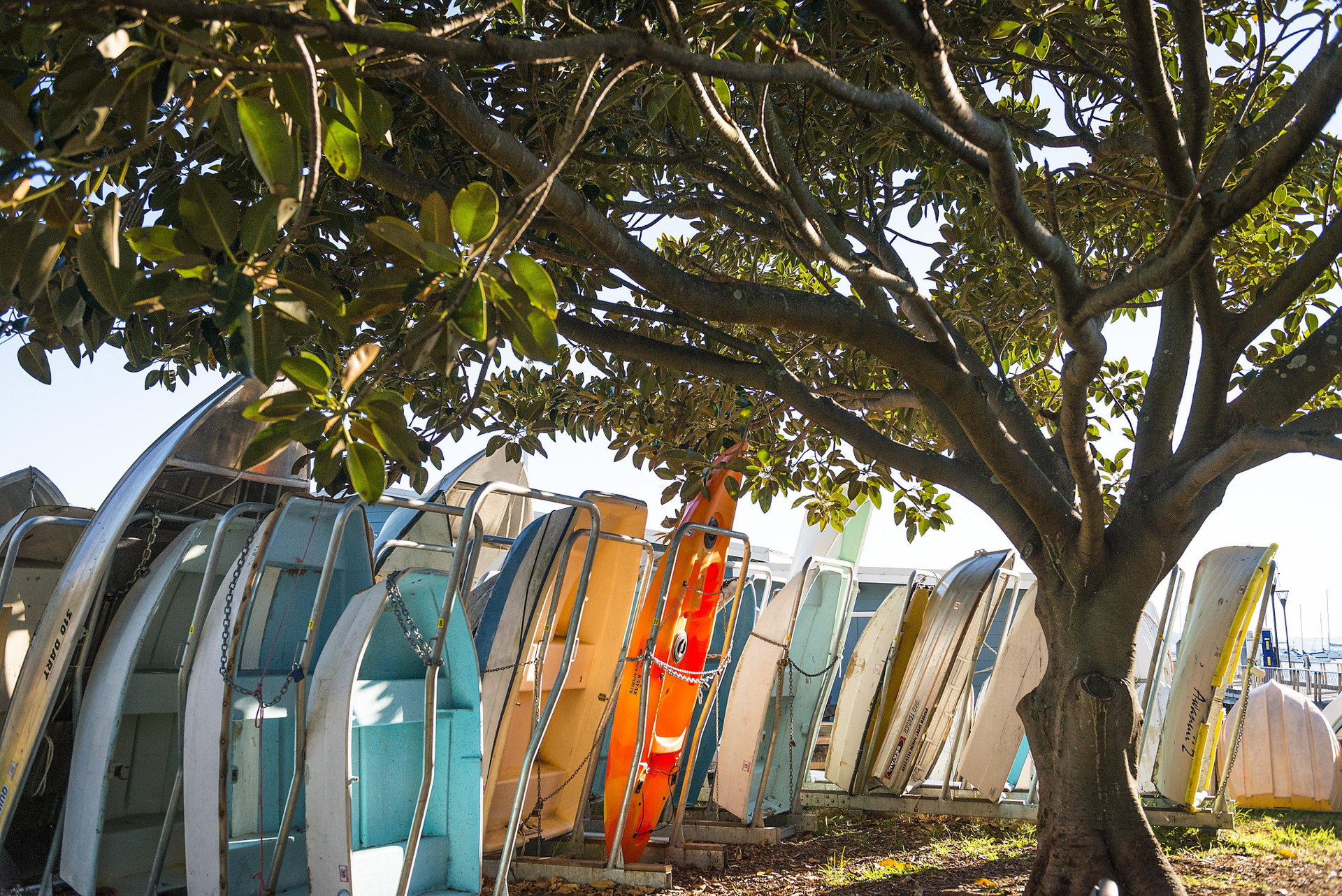 Vista Exterior InterContinental Sydney Double Bay by IHG