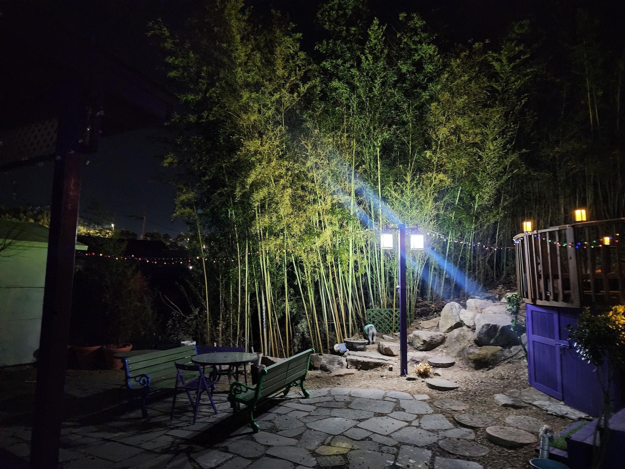 Vista Exterior Bellus Rose Pension Hotel