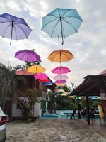 Alojamiento - LAS CASCADAS HOSTEL TAYRONA