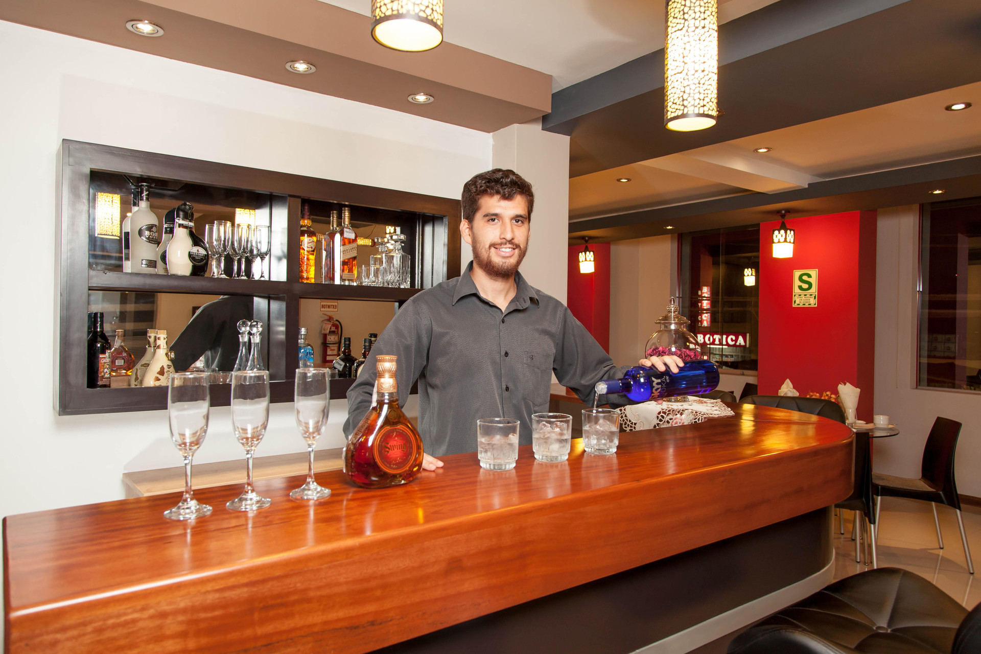 Bar/Salón Plaza Sur Hotel Suites