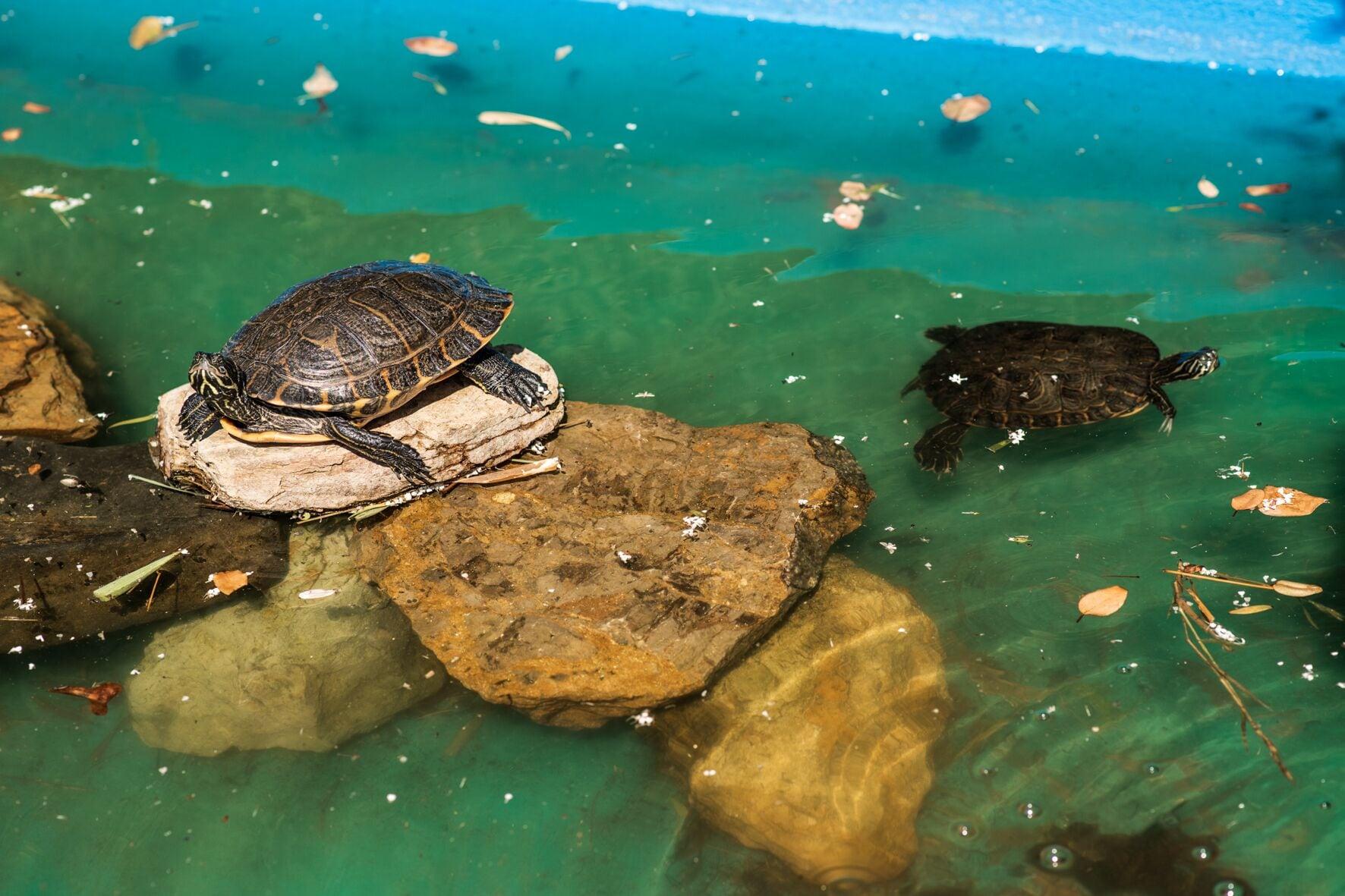 Instalaciones Recreativas Hotel Rural Quinta do Marco