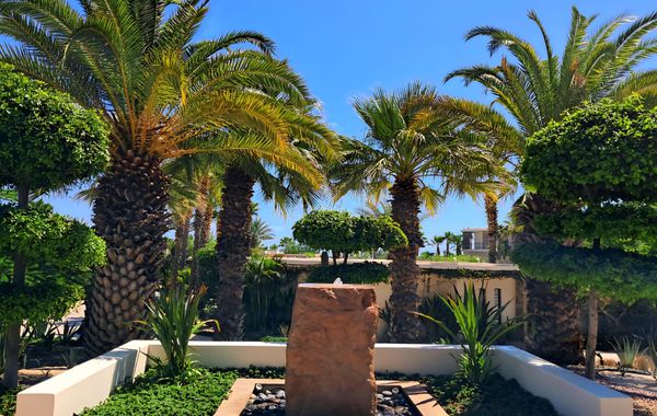 Sea Horizons - Hoteles 4 estrellas en San Jose del Cabo, México