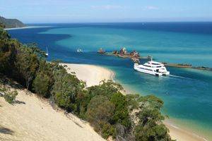 Actividad - Naufragio en Moreton Island - Tour de un día entero